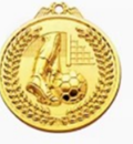 GOLDEN KICK MEDAL